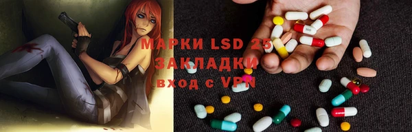 прущие грибы Абдулино