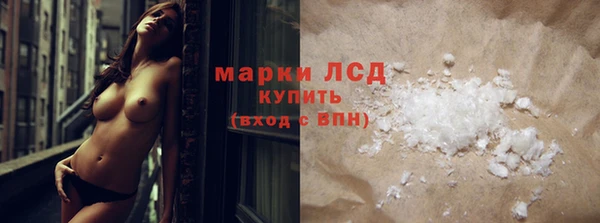 прущие грибы Абдулино