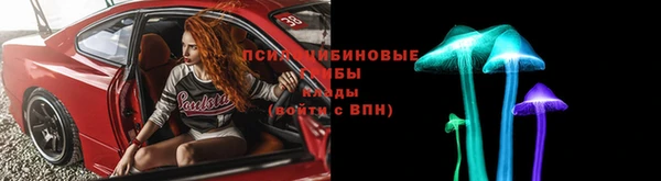 прущие грибы Абдулино