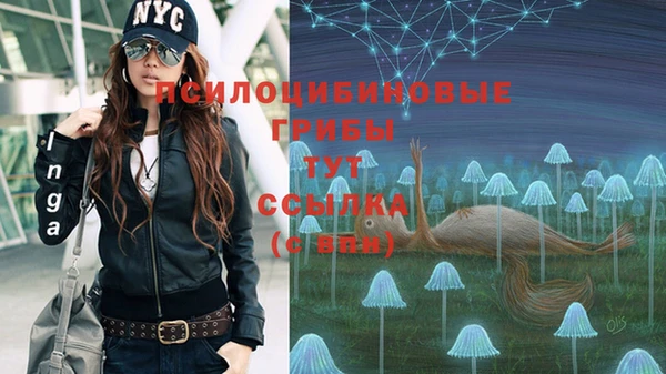бутират Краснотурьинск