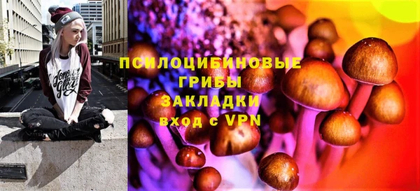 ешки Абаза