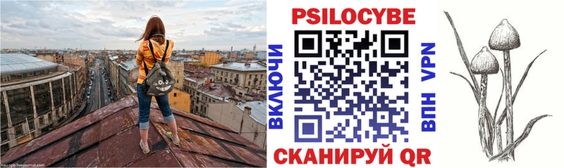 Псилоцибиновые грибы Cubensis  даркнет как зайти  ссылка на мегу ссылки  Орск  продажа наркотиков 