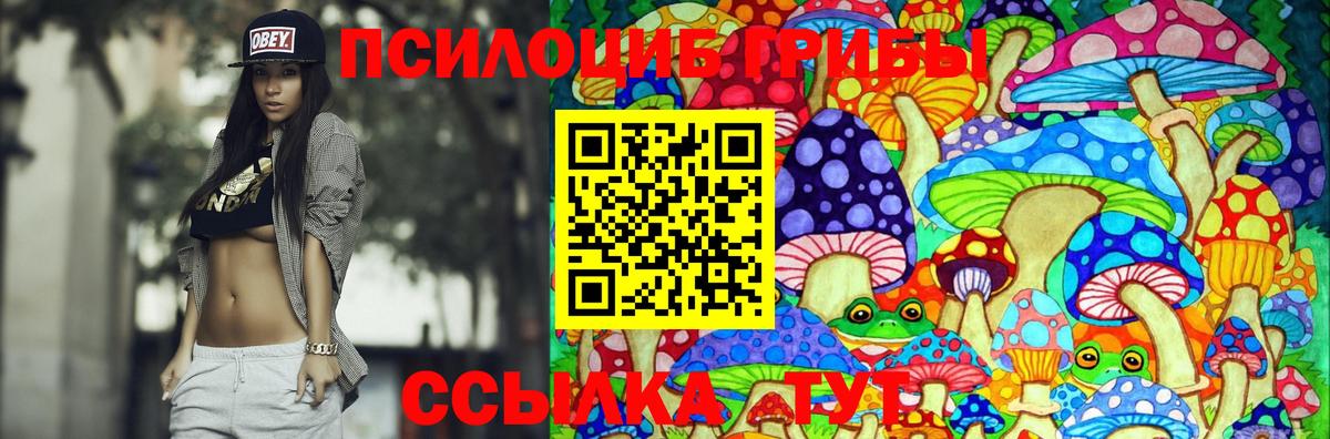 Галлюциногенные грибы Cubensis Орск